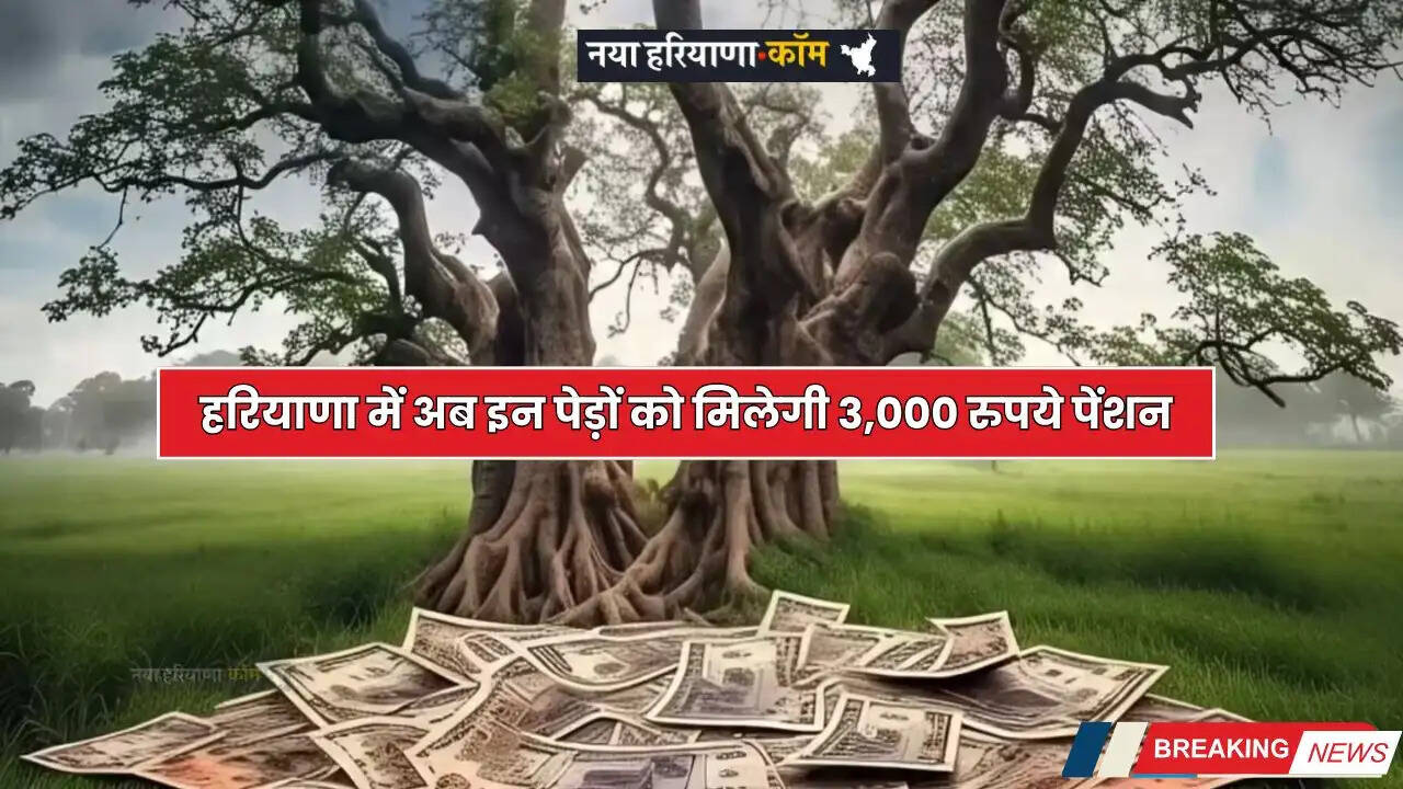 Haryana: हरियाणा में अब इन पेड़ों को मिलेगी 3,000 रुपये पेंशन, जाने कैसे मिलेगा लाभ ?
