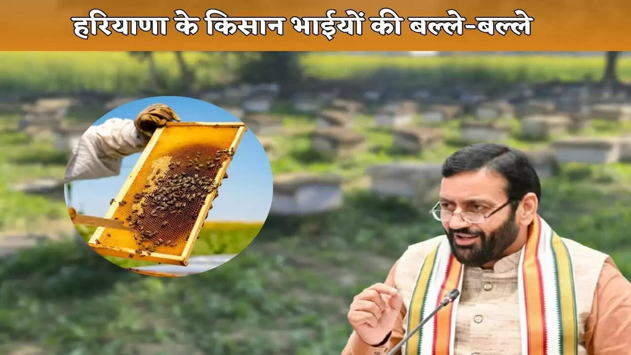 Good news for the farmer brothers of Haryana