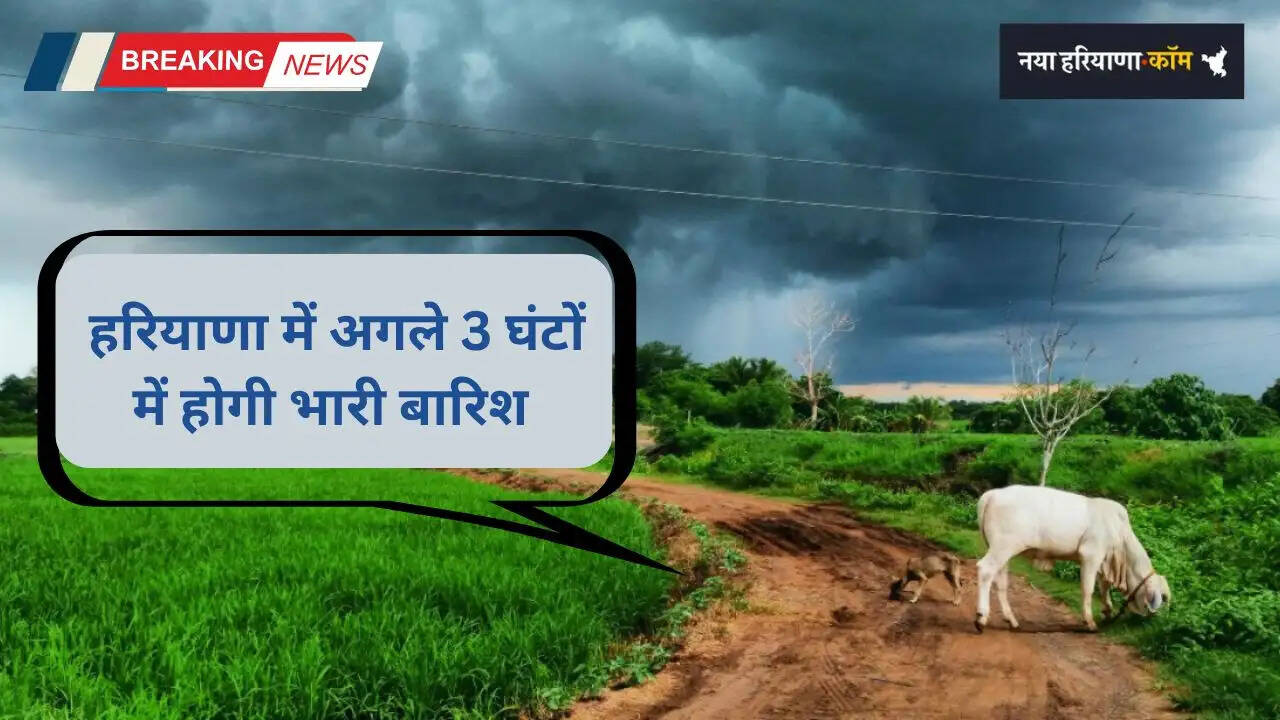 Haryana Weather: हरियाणा के इन जिलों में अगले 3 घंटों में होगी भारी बारिश, देखें मौसम पूर्वानुमान&nbsp;