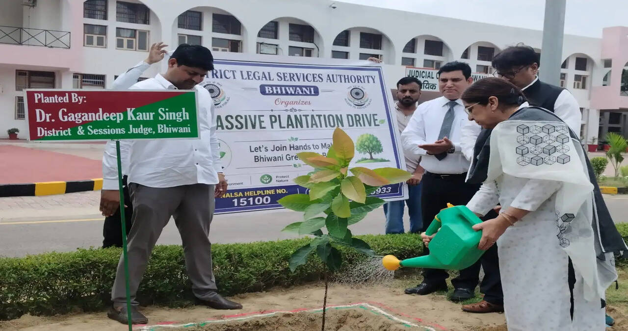 Chandigarh, August 4 &ndash; Haryana's Forest and Environment Minister Rao Narbir Singh said this year, World Environment Day and Van Mahotsav have proven historic for the state in many ways. People turned tree plantation into a public movement, not only ensuring their participation in environmental protection but also demonstrating their responsibility towards nature. Expressing gratitude to the people of the state, he called upon everyone to plant at least two saplings under 'Ek Ped Maa Ke Naam' and 'Ek Ped Apne Naam' and to protect them until they grow into full trees.