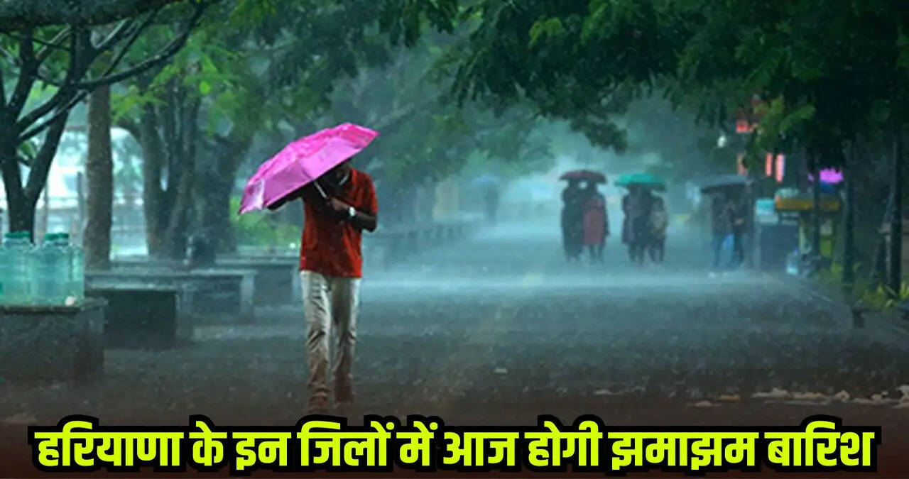 हरियाणा के इन जिलों में होगी झमाझम बारिश, देखें&nbsp;आज आपके शहर में कैसा रहेगा मौसम ?