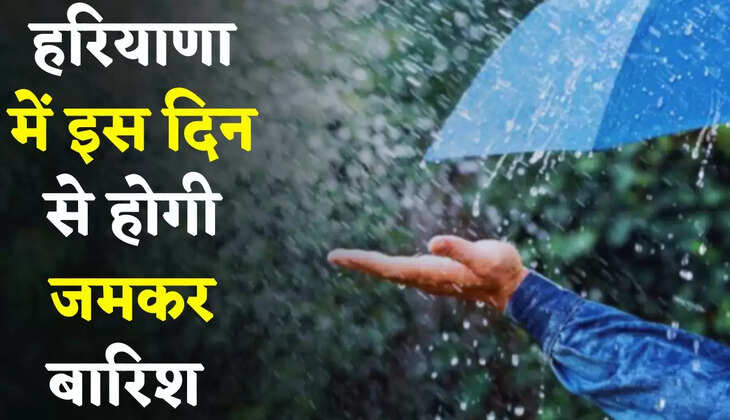 Haryana Weather: हरियाणा में पश्चिमी विक्षोभ देगा दस्तक, इस दिन से होगी जमकर बारिश&nbsp;