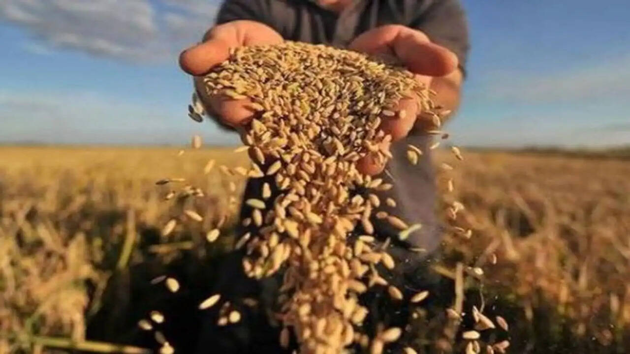 किसान साथी यहां देखें आज किस रेट पर बिक रही फसलें, जाने 30 अप्रैल के मंडी भाव