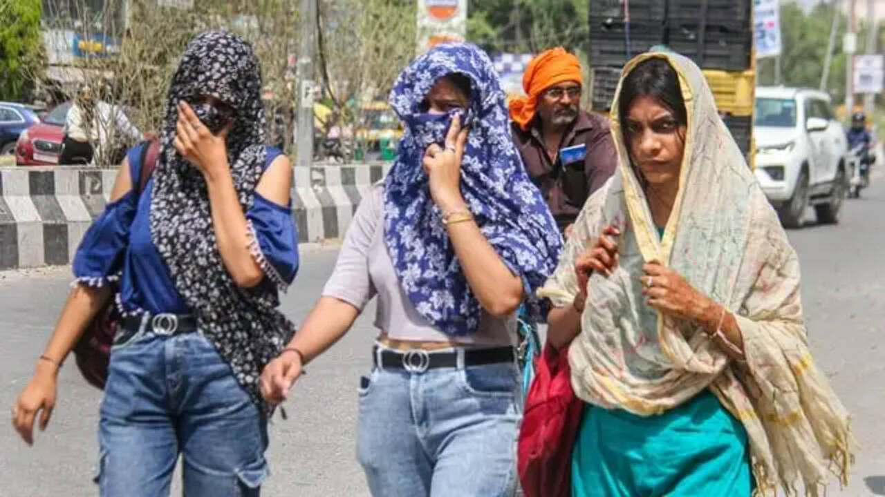 हरियाणा के इन जिलों में वॉर्म नाइट की चेतावनी ! अब दिनभर लू चलने का अलर्ट&nbsp;