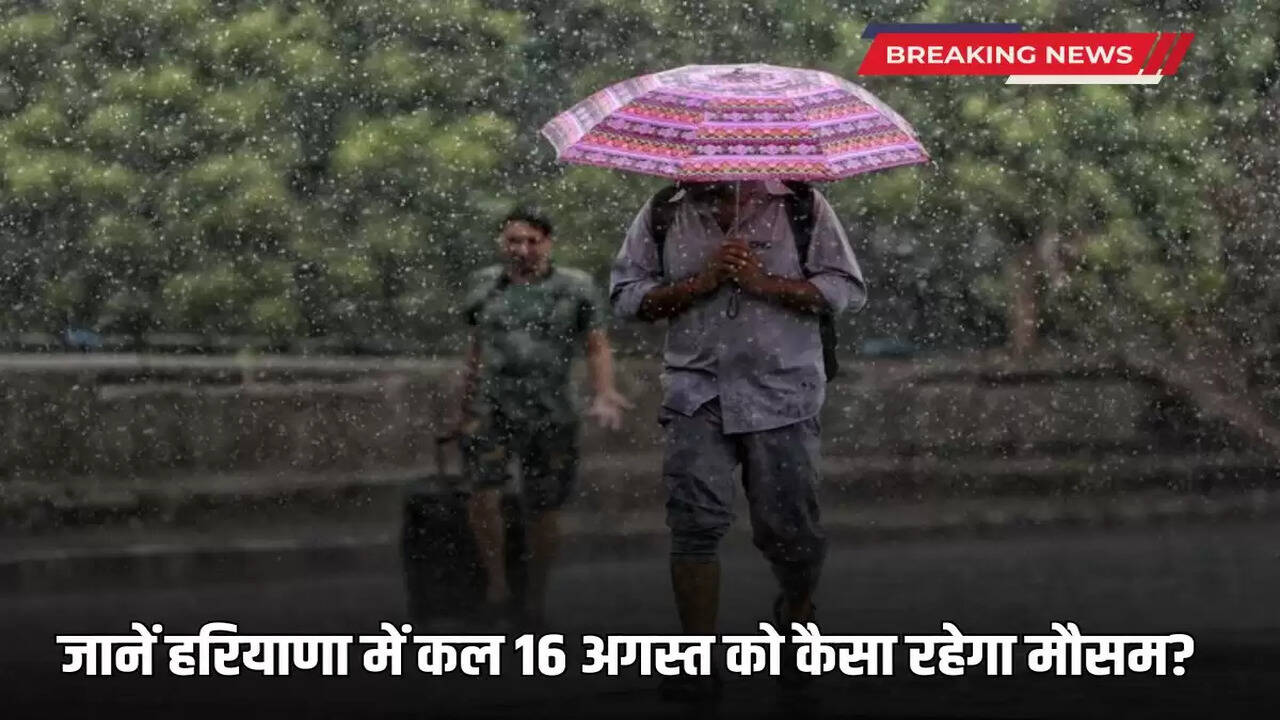 Know what will be the weather like in Haryana tomorrow, August 16?