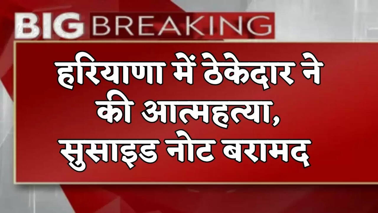 haryana crime news