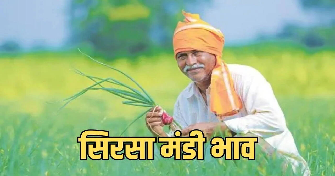 mandi bhav