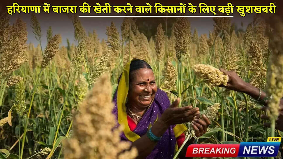 Big news for millet farmers in Haryana