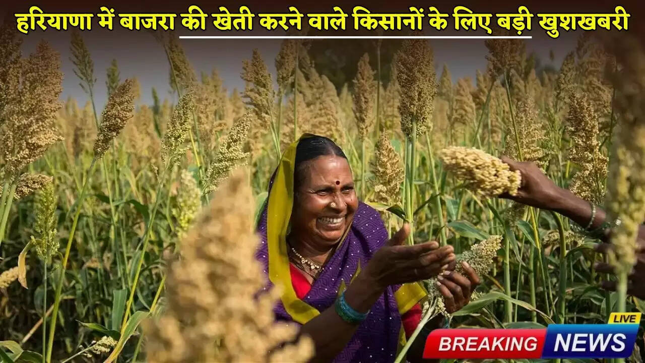 Big news for millet farmers in Haryana