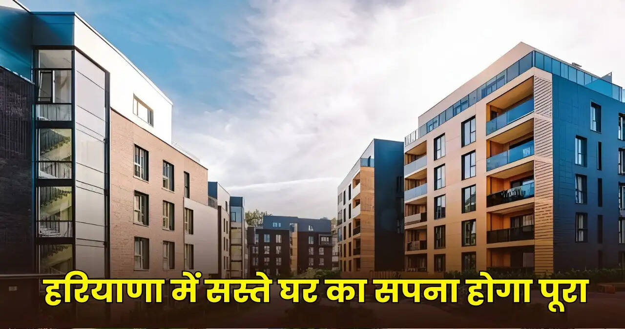 haryana news