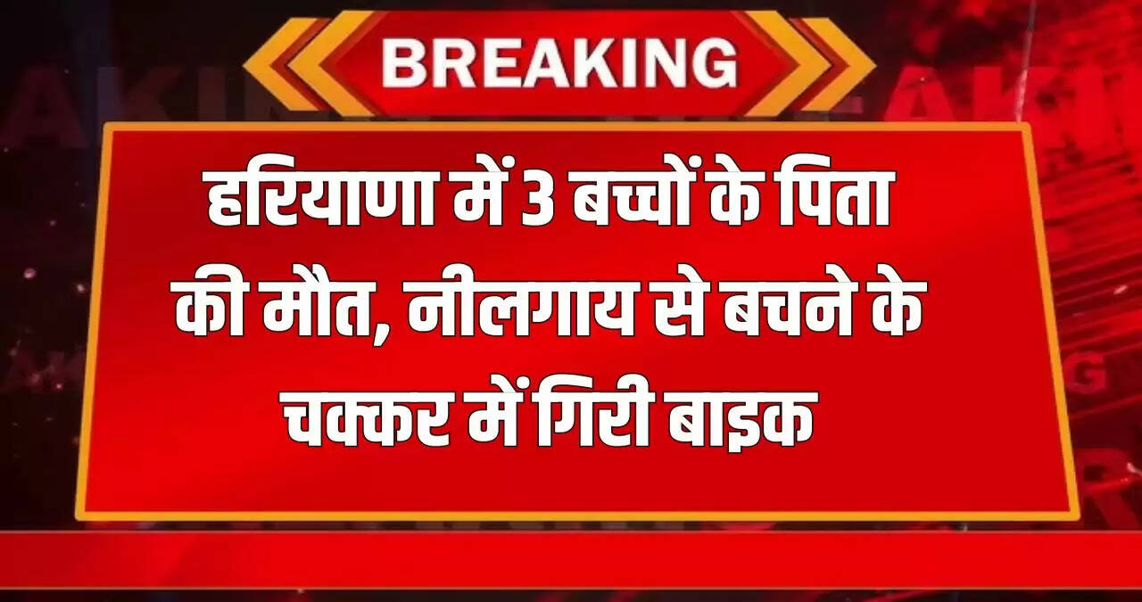 haryana news
