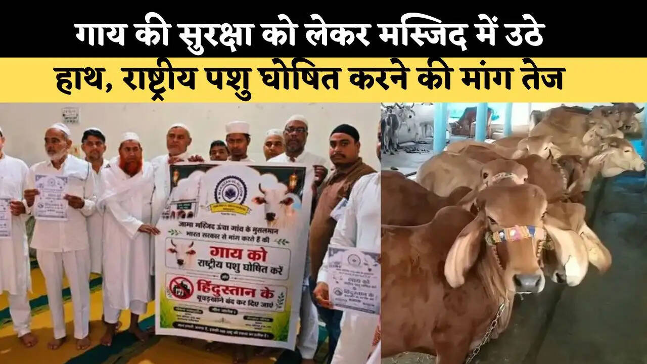 गाय की सुरक्षा को लेकर मस्जिद में उठे हाथ, राष्ट्रीय पशु घोषित करने की मांग तेज