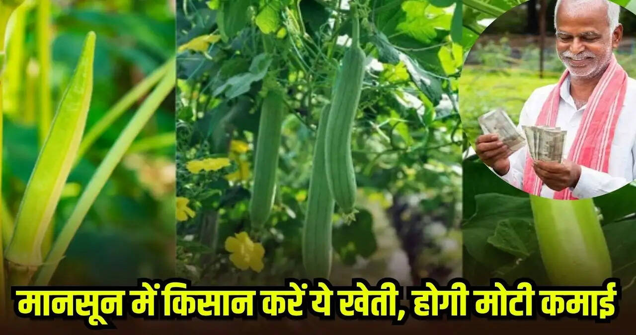मानसून में करें इन सब्जियों की खेती, कम लागत में होगी बंपर कमाई