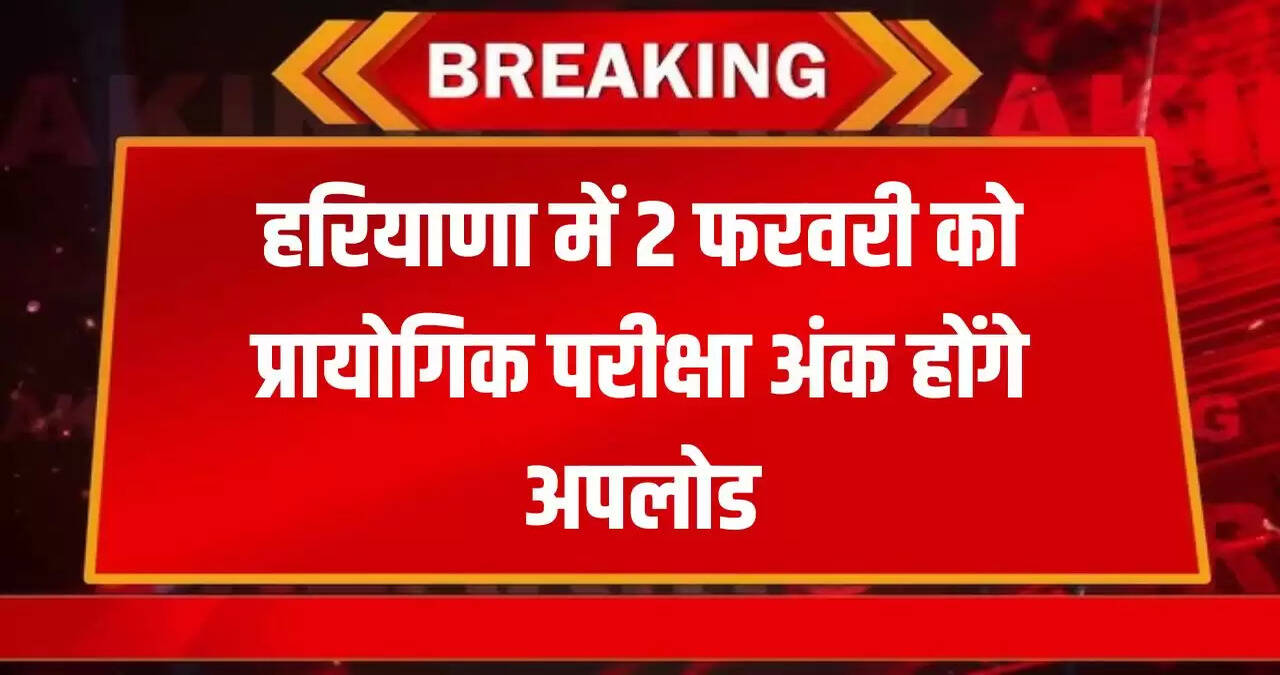 HARYANA NEWS