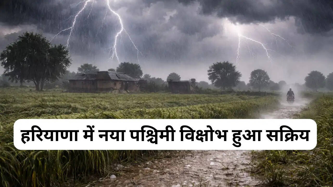 हरियाणा में नया पश्चिमी विक्षोभ हुआ सक्रिय, आज 9 जिलों में होगी झमाझम बरसात&nbsp;