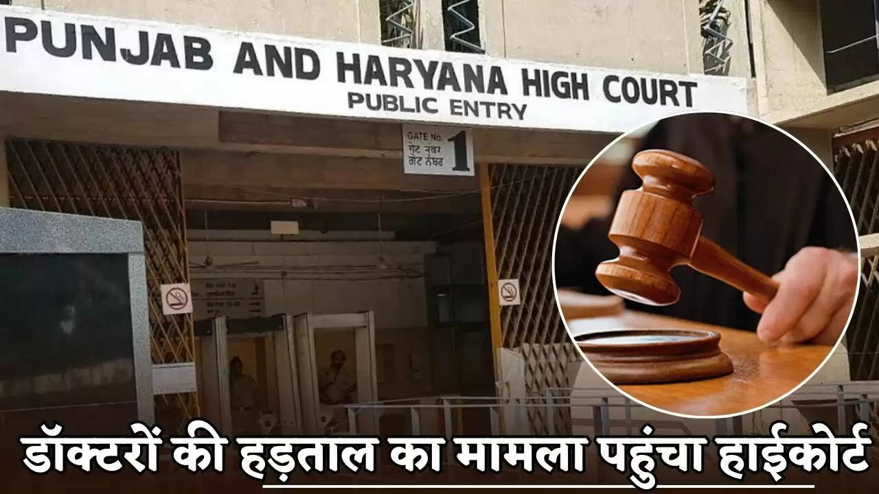 The matter of the doctors' strike in Haryana has reached the High Court.