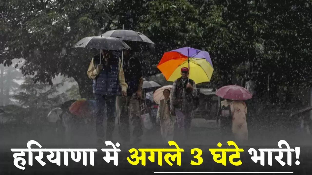 Haryana Rain Alert: हरियाणा में अगले 3 घंटे भारी! इन जिलों में बरसात की चेतावनी
