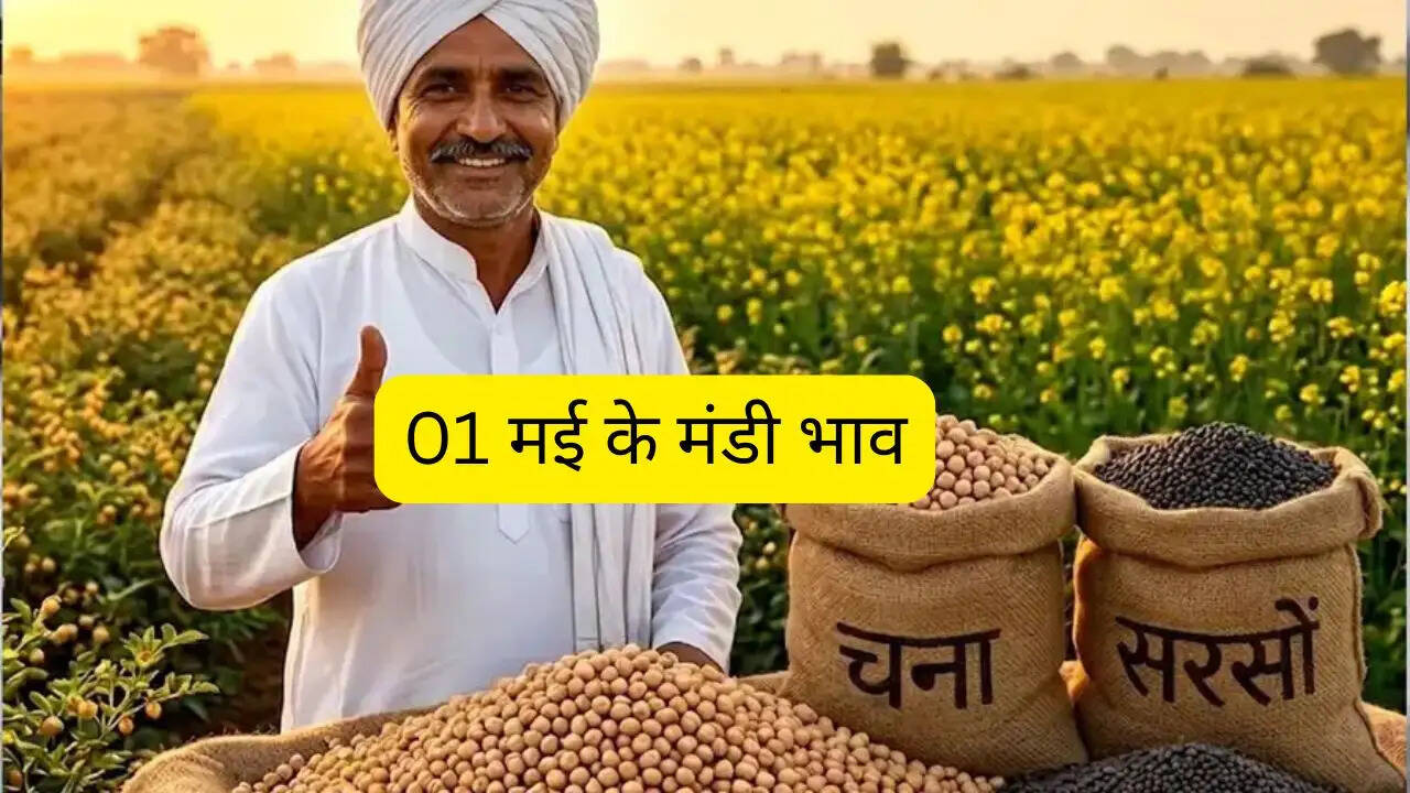 किसान साथी यहां देखें आज किस रेट पर बिक रही फसलें, जाने 01 मई के मंडी भाव