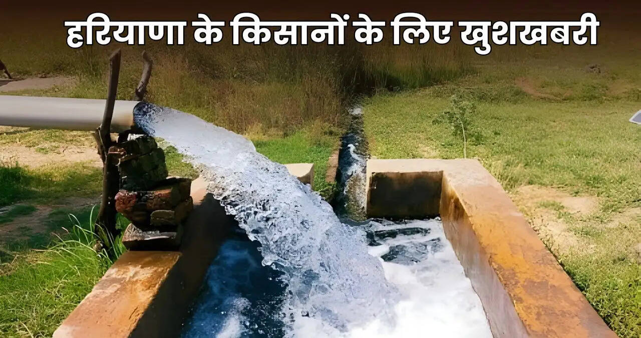 Haryana news
