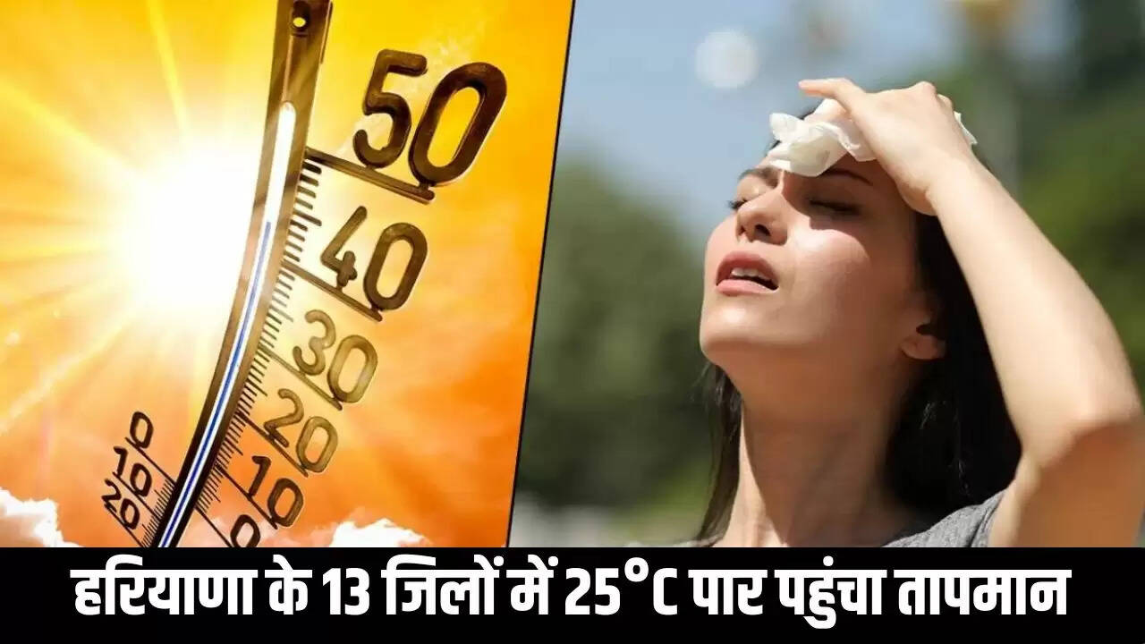 haryana weather udpate