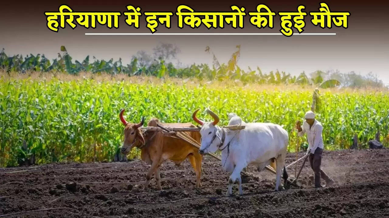 These farmers had fun in Haryana