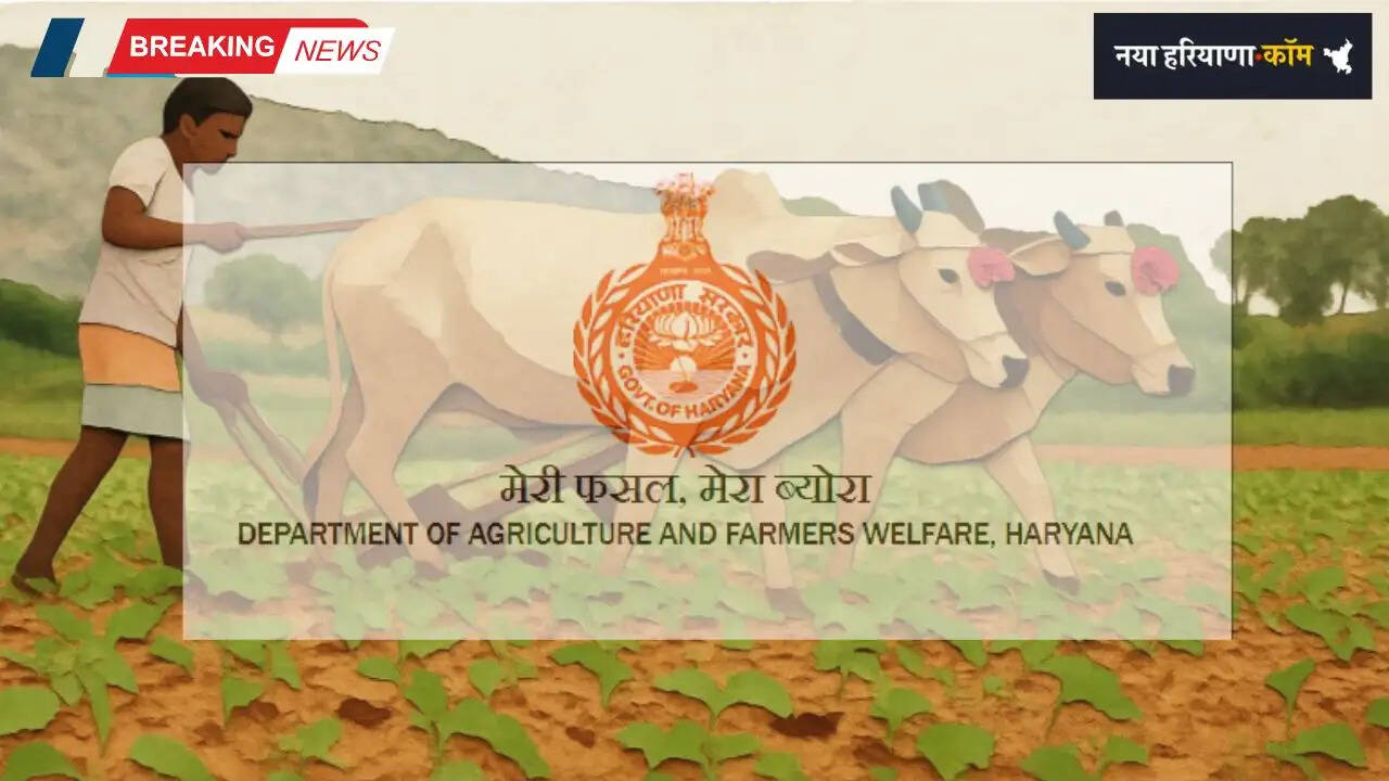 Haryana: मेरी फसल-मेरा ब्यौरा पोर्टल पर दोबारा आवेदन शुरू, सभी किसान साथी जल्दी कराएं पंजीकरण