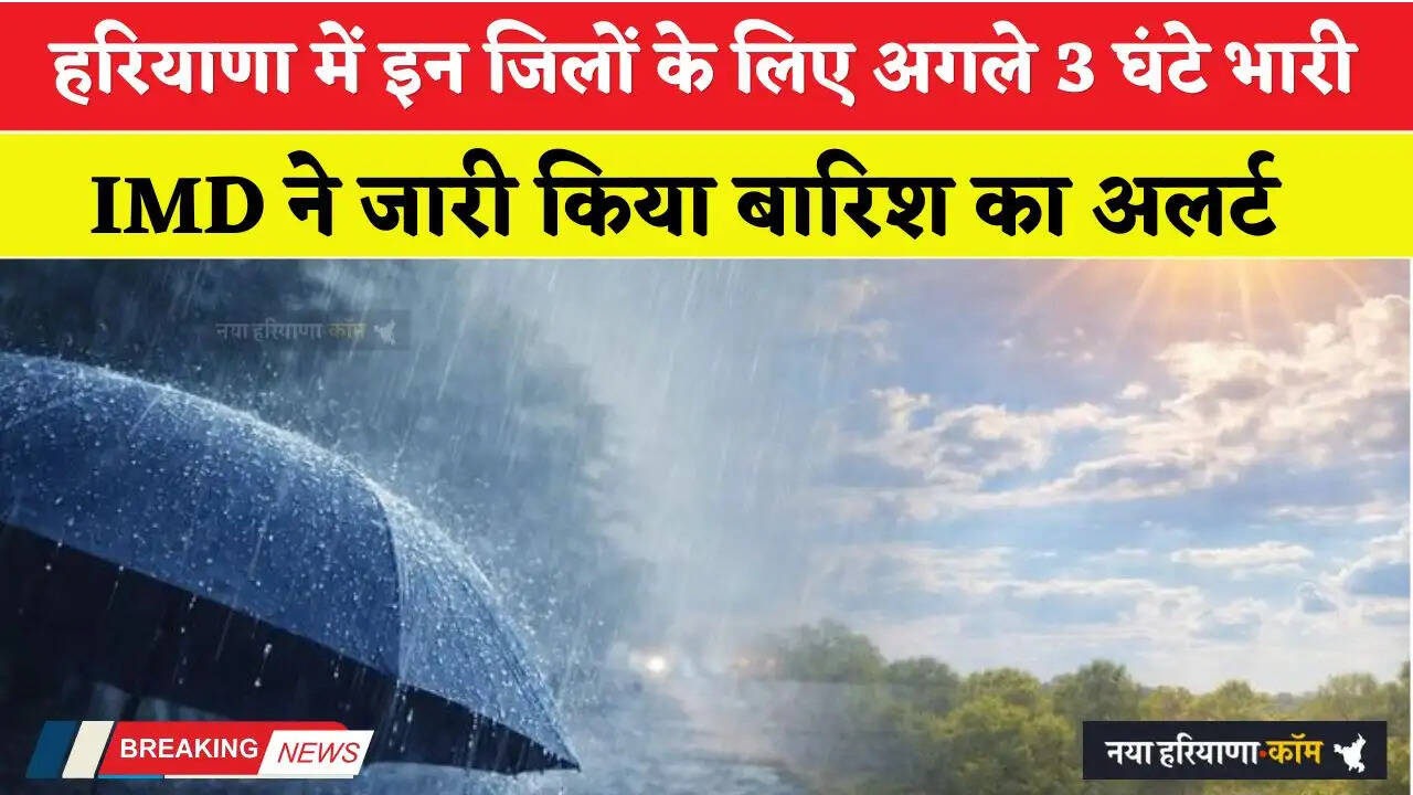 Haryana Rain Alert: हरियाणा में इन जिलों के लिए अगले 3 घंटे भारी, IMD ने जारी किया बारिश का अलर्ट&nbsp;