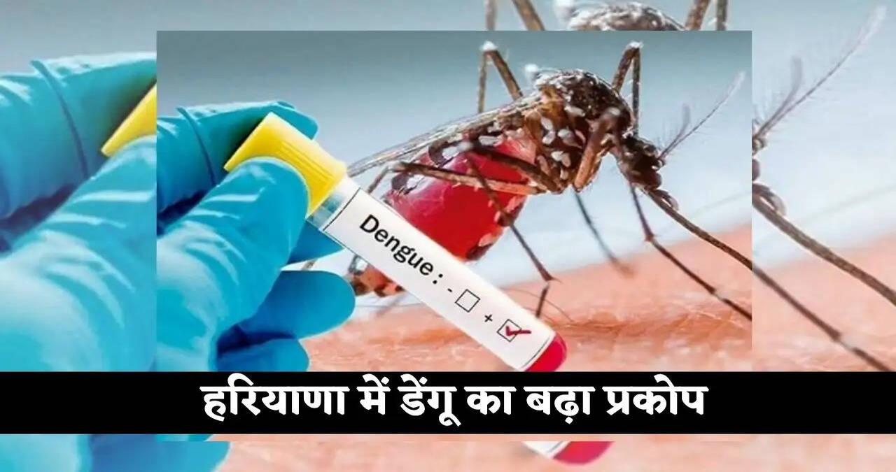 हरियाणा में डेंगू का आंकड़ा 350 पार, लापरवाही बरतने पर &nbsp;33,796 लोगों को नोटिस जारी