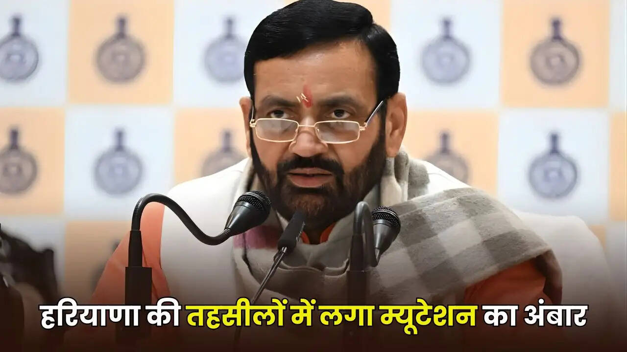 haryana news
