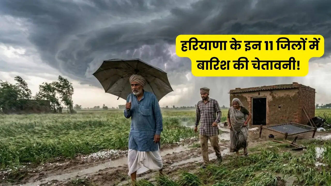 हरियाणा के इन 11 जिलों में बारिश की चेतावनी! किसानों की बढ़ेगी टेंशन, IMD ने जारी की एडवाइजरी&nbsp;