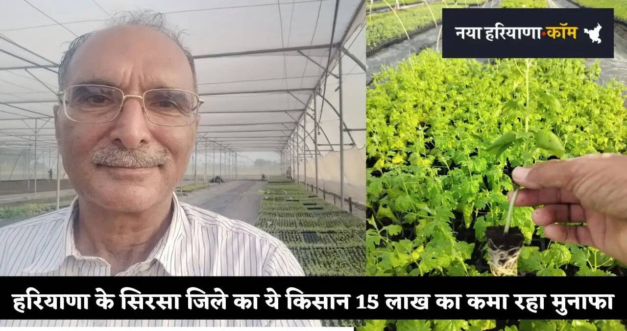 हरियाणा के सिरसा जिले का ये किसान 15 लाख का कमा रहा मुनाफा, सालाना 8 से 10 लाख पौध तैयार कर रहे मुकेश