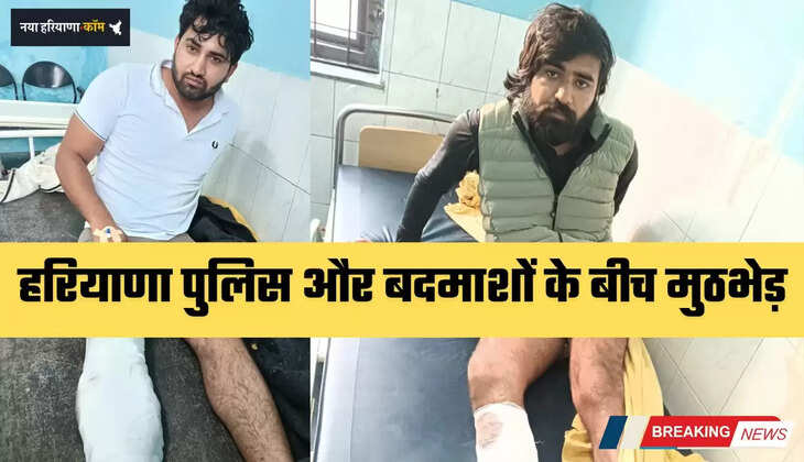 Haryana News: हरियाणा पुलिस और बदमाशों के बीच मुठभेड़, दो बदमाशों के लगी गोली, अस्पताल में भर्ती