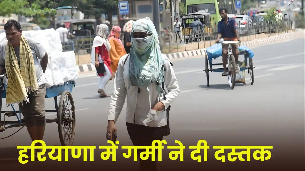 Haryana Weather update 