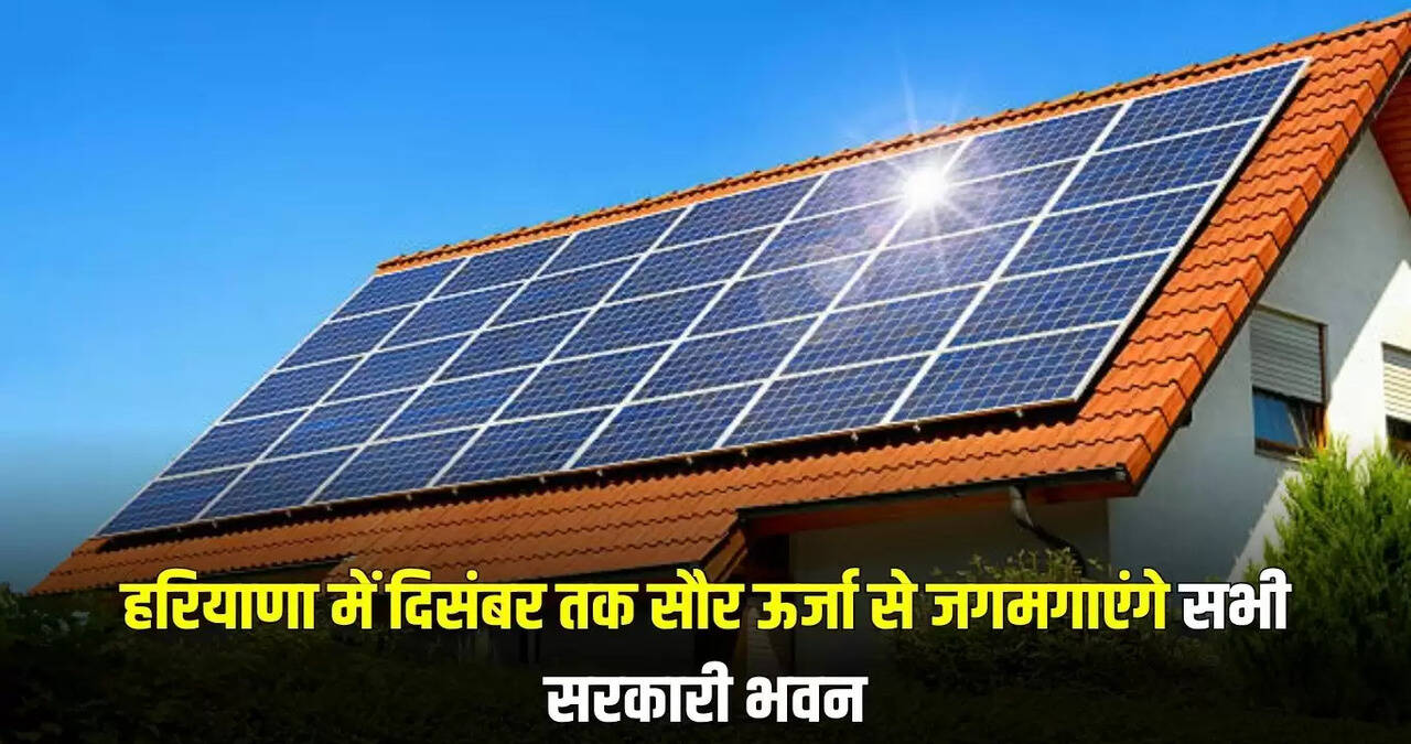 haryana news