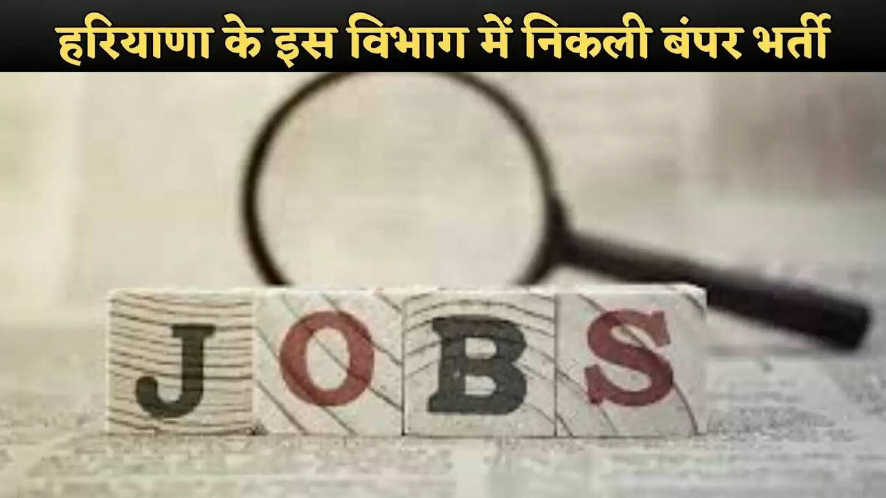 haryana jobs