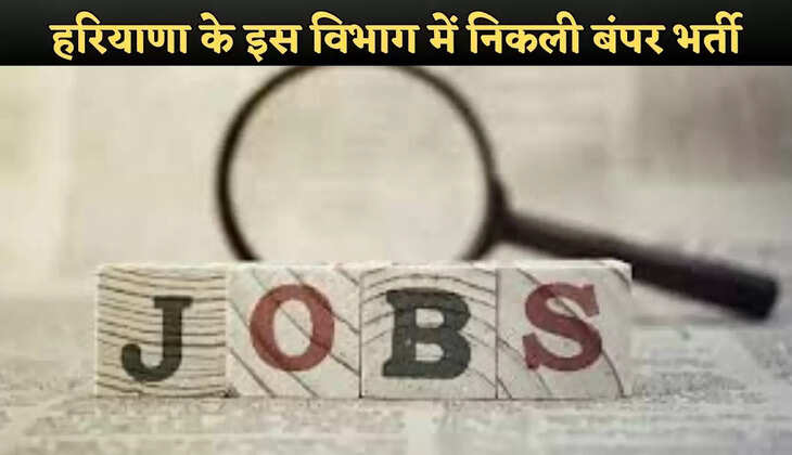 haryana jobs