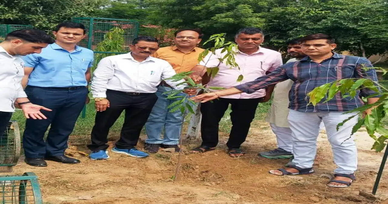 &nbsp;&nbsp;गांव निनान में प्रदूषण नियंत्रण बोर्ड ने चलाया प्लास्टिक मुक्त जागरूकता अभियान