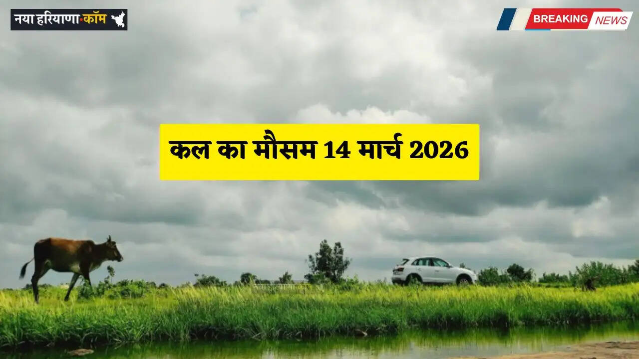 Kal Ka Mousam: दिल्ली-हरियाणा समेत इन जगहों पर बारिश की चेतावनी! देखें कल की वेदर रिपोर्ट