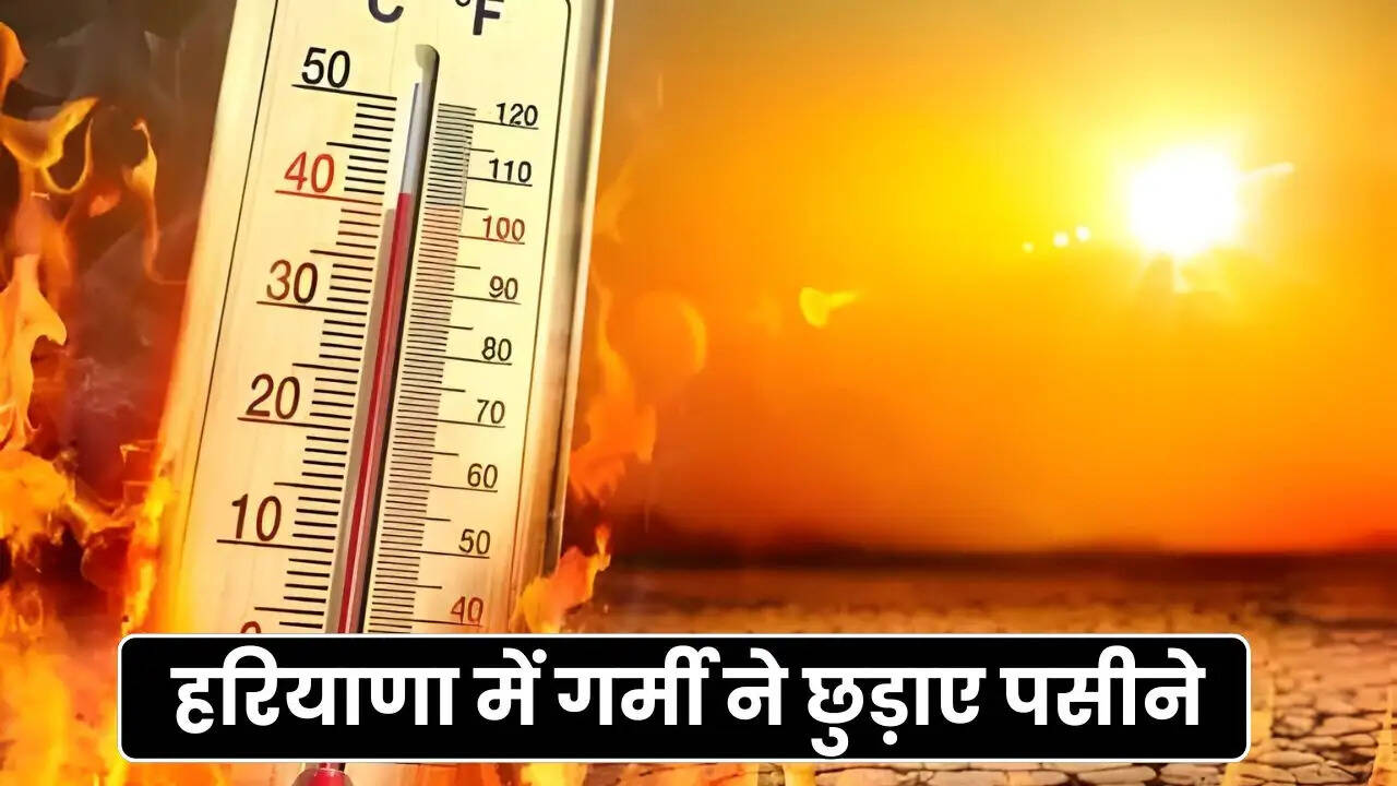 haryana weather update