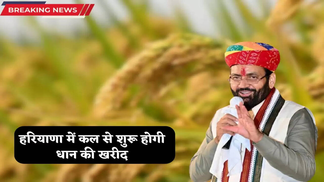 Haryana News: हरियाणा में कल से शुरू होगी धान की खरीद, जानें किस रेट पर बिकेगी ? 