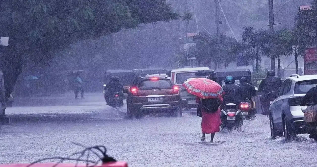 हरियाणा के 15 जिलों में आज भारी बारिश का अलर्ट:7 में बूंदाबांदी के आसार, 24 घंटे में पंचकूला में 99MM बरसात