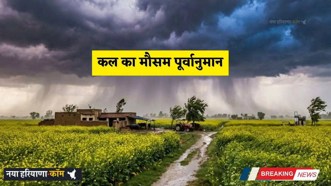 Kal Ka Mousam: हरियाणा-पंजाब समेत इन राज्यों में बारिश का अलर्ट! देखें कल का मौसम पूर्वानुमान&nbsp;