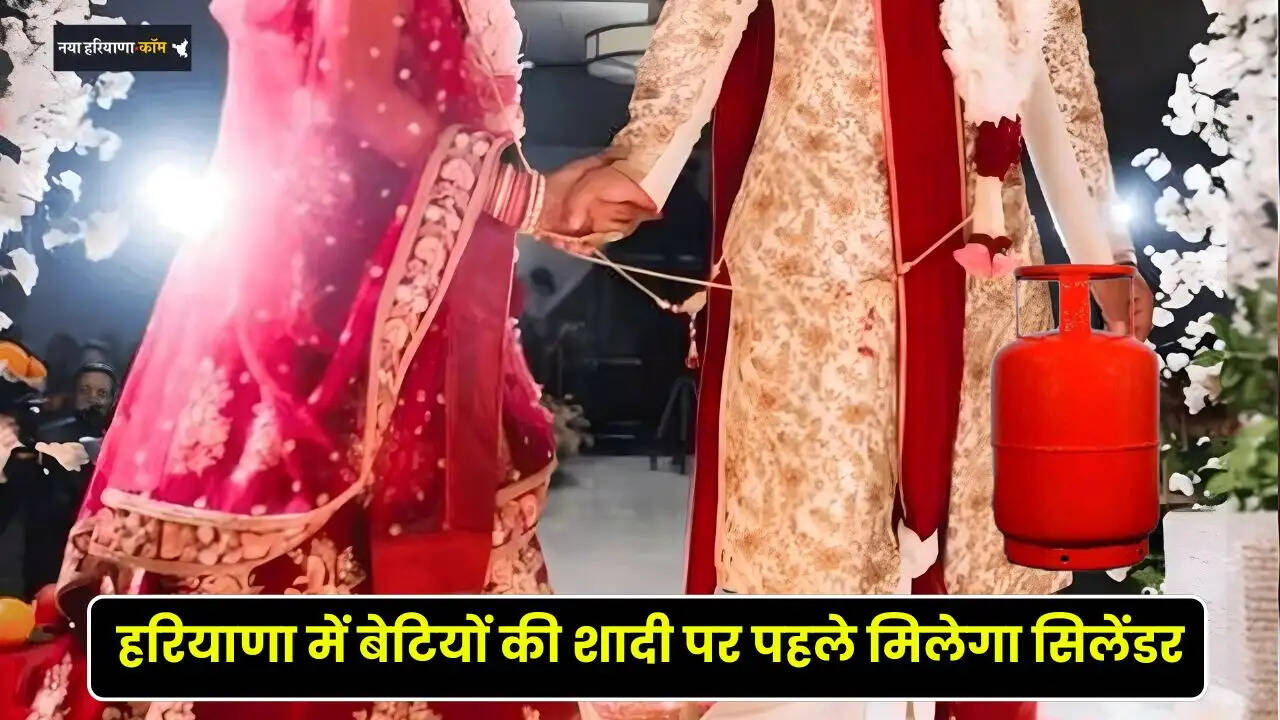haryana news