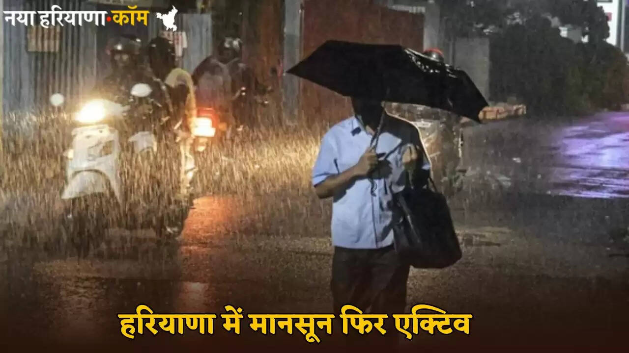 Monsoon is active again in Haryana