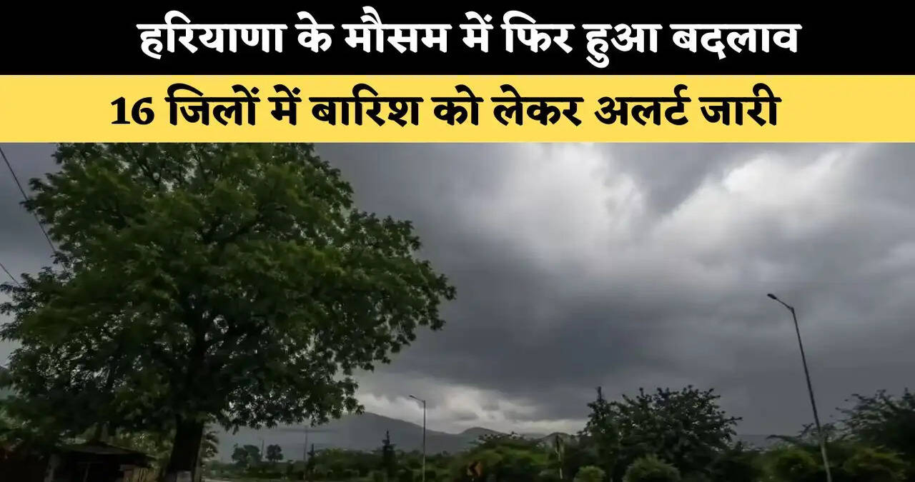 हरियाणा के मौसम में फिर हुआ बदलाव, 16 जिलों में बारिश को लेकर अलर्ट जारी