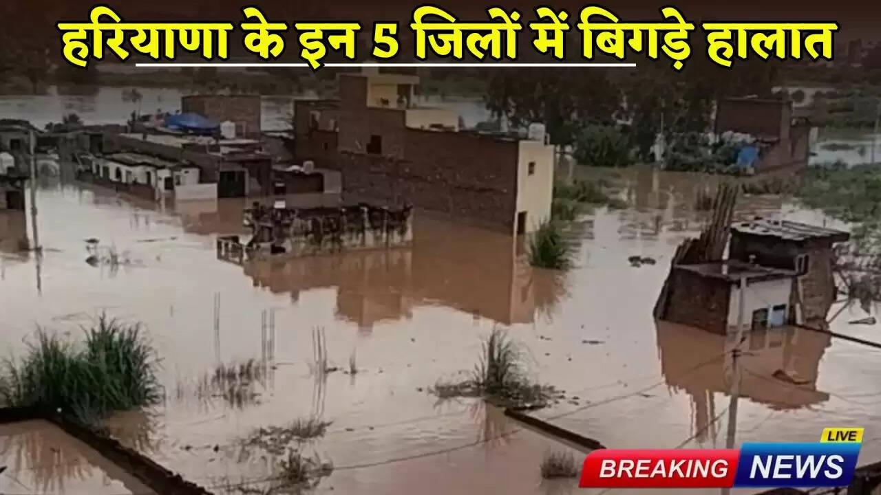 Situation worsened in these 5 districts of Haryana
