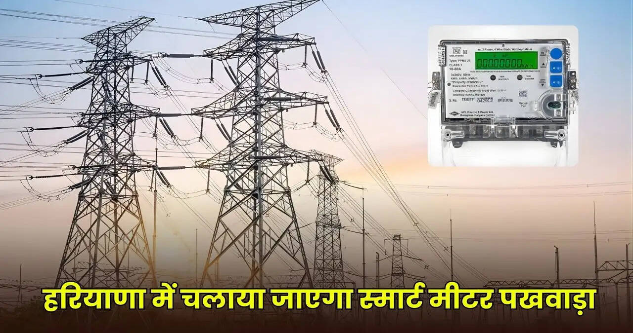 haryana news