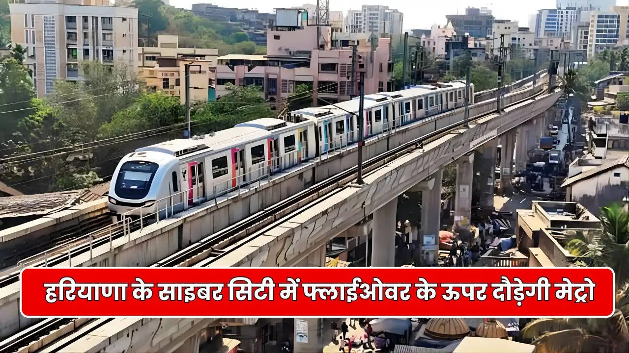 Haryana News