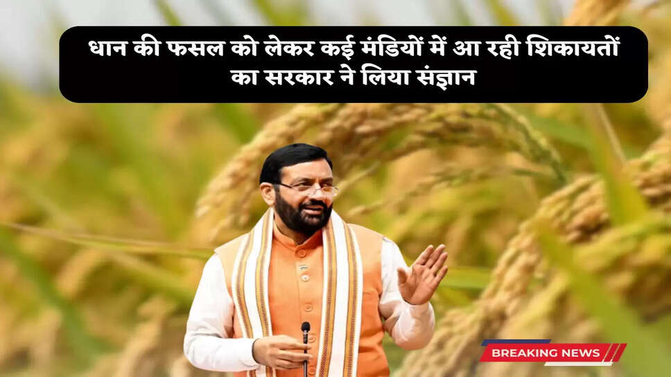 Haryana government on dhan kharid 
