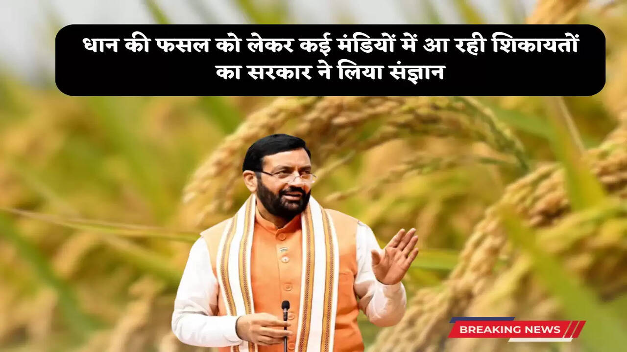 Haryana government on dhan kharid 